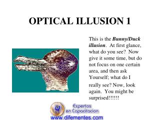 OPTICAL ILLUSION 1