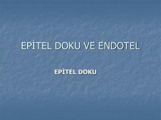 EPİTEL DOKU VE ENDOTEL