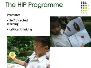 The HIP Programme
