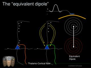 The “equivalent dipole”