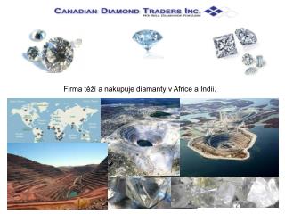 Firma těží a nakupuje diamanty v Africe a Indii.