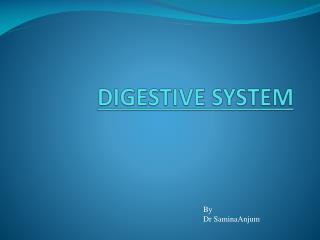 DIGESTIVE SYSTEM