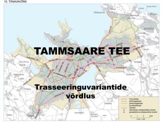 TAMMSAARE TEE