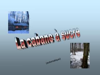 La cabane à sucre