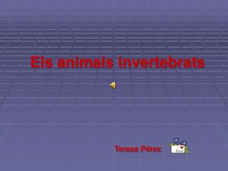 Els animals invertebrats
