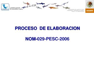 PROCESO DE ELABORACION NOM- 029-PESC-2006
