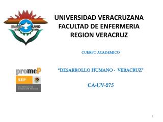 UNIVERSIDAD VERACRUZANA FACULTAD DE ENFERMERIA REGION VERACRUZ
