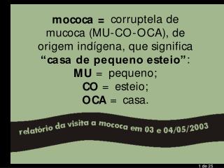 Chegada à Fazenda Nova, dia 03 de maio, por volta das 10:30 h.