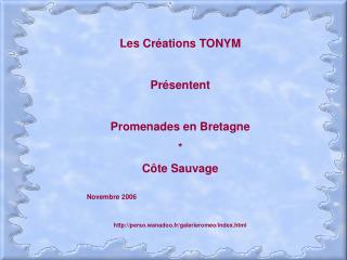 Les Créations TONYM Présentent Promenades en Bretagne * Côte Sauvage Novembre 2006