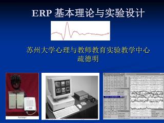 ERP 基本理论与实验设计