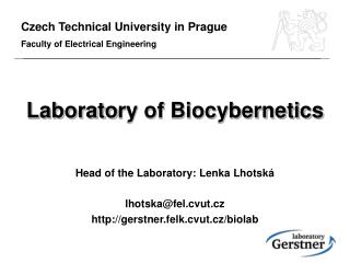 Laborato ry of Biocybernetics