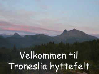 Velkommen til Troneslia hyttefelt