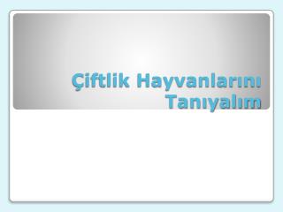 Çiftlik Hayvanlarını Tanıyalım