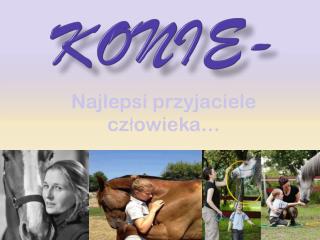 Konie-