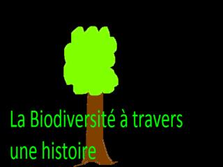 La Biodiversité dans le monde
