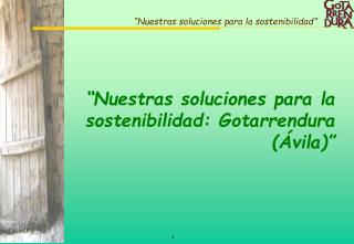 “Nuestras soluciones para la sostenibilidad: Gotarrendura (Ávila)”