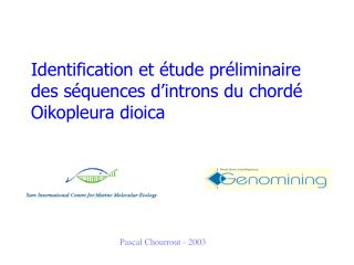 Identification et étude préliminaire des séquences d’introns du chordé Oikopleura dioica