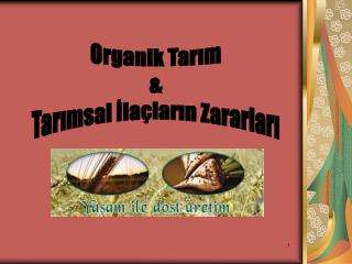 Organik Tarım &amp; Tarımsal İlaçların Zararları
