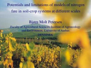 Potentials and limitations of models of nitrogen fate in soil-crop systems at different scales