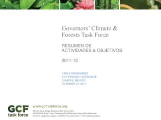 Governors’ Climate &amp; Forests Task Force RESUMEN DE ActiviDADES &amp; ObjetivOS 2011 -12