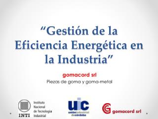 “Gestión de la Eficiencia Energética en la Industria”