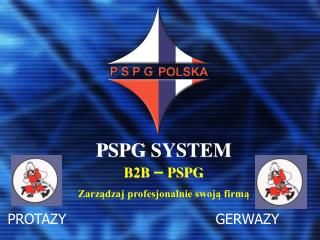 P SPG SYSTEM