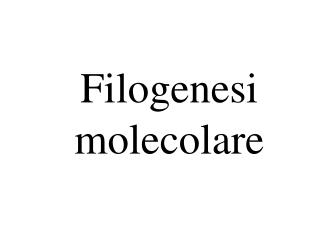 Filogenesi molecolare