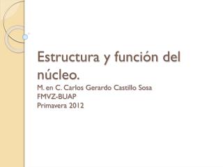 Estructura y función del núcleo. M. en C. Carlos Gerardo Castillo Sosa FMVZ-BUAP Primavera 2012