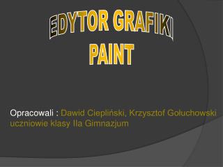 E DYTOR GRAFIKI PAINT