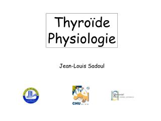 Thyroïde Physiologie
