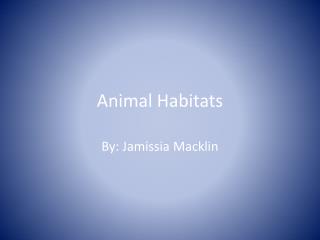 Animal Habitats