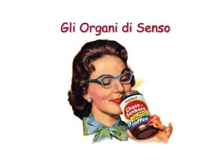 Gli Organi di Senso