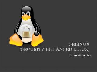 SELinux (Security-Enhanced Linux)