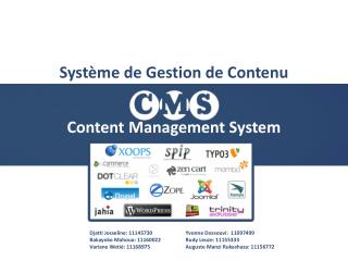 Content Management System