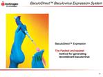 BaculoDirect Baculovirus Expression System