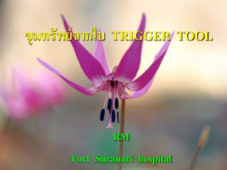 ขุมทรัพย์จากใบ TRIGGER TOOL