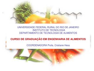 Engenharia de Alimentos UFRRJ