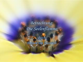 Betrachtung : Die Seelenflamme