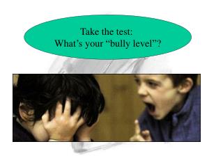 Take the test: What’s your “bully level”?
