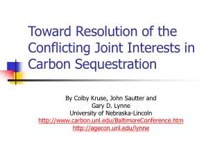 Toward Resolution of the Conflicting Joint Interests in Carbon Sequestration