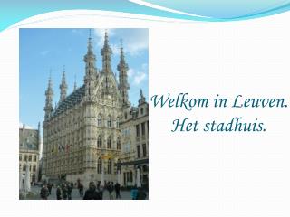 Welkom in Leuven. Het stadhuis.