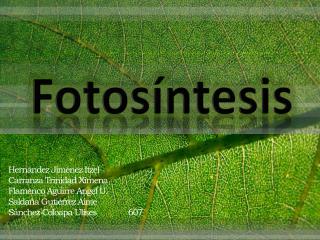 Fotosíntesis