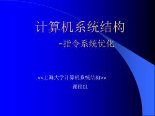 计算机系统结构 - 指令系统优化