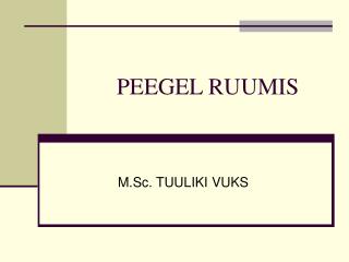 PEEGEL RUUMIS