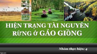 HIỆN TRẠNG TÀI NGUYÊN RỪNG Ở GÁO GIỒNG