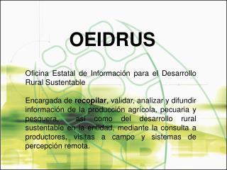 Oficina Estatal de Información para el Desarrollo Rural Sustentable