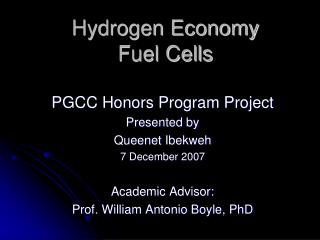 Hydrogen Economy Fuel Cells