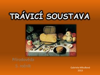 TRÁVICÍ SOUSTAVA