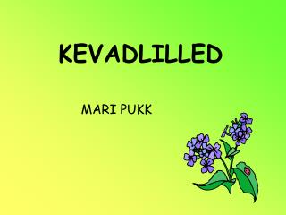 KEVADLILLED