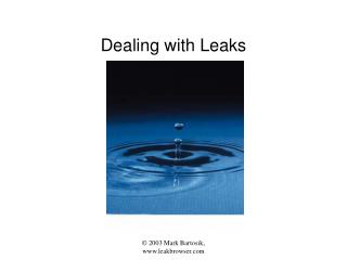 Dealing with Leaks